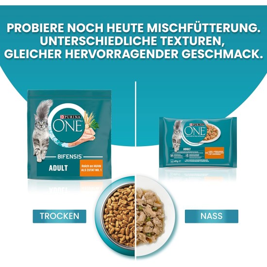 PURINA ONE Bifensis Sterilized Cat Food Dry for Sterilised Cats, Rich in Beef, Pack of 6 (6 x 750 g) PURINA ONE Bifensis Sterilized Cat Food Dry for Sterilised Cats, Rich in Beef, Pack of 6 (6 x 750 g)