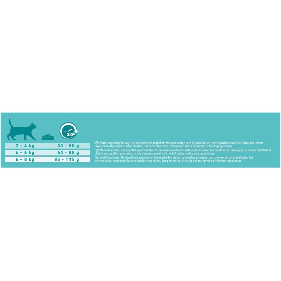 PURINA ONE Bifensis Sterilized Cat Food Dry for Sterilised Cats, Rich in Beef, Pack of 6 (6 x 750 g) PURINA ONE Bifensis Sterilized Cat Food Dry for Sterilised Cats, Rich in Beef, Pack of 6 (6 x 750 g)