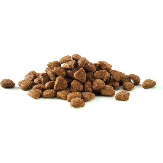PURINA ONE Bifensis Urinary Health Dry Cat Food, Rich in Chicken, Pack of 6 (6 x 750 g) PURINA ONE Bifensis Urinary Health Dry Cat Food, Rich in Chicken, Pack of 6 (6 x 750 g)