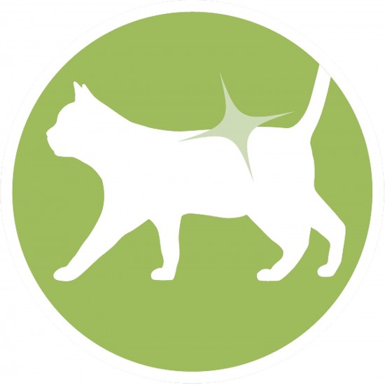 PURINA ONE Dualnature Natural Defense Adult Cat Dry Food with Salmon and Natural Spirulina, 8 Bags of 400 g PURINA ONE Dualnature Natural Defense Adult Cat Dry Food with Salmon and Natural Spirulina, 8 Bags of 400 g