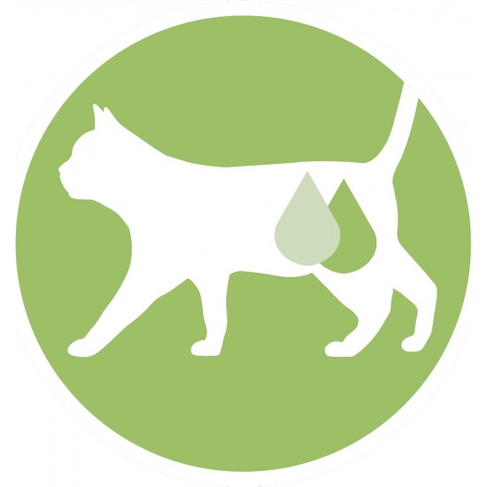 PURINA ONE Dualnature Natural Defense Adult Cat Dry Food with Salmon and Natural Spirulina, 8 Bags of 400 g PURINA ONE Dualnature Natural Defense Adult Cat Dry Food with Salmon and Natural Spirulina, 8 Bags of 400 g