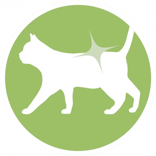 PURINA ONE Dualnature Natural Defense Adult Cat Dry Food with Salmon and Natural Spirulina, 8 Bags of 400 g PURINA ONE Dualnature Natural Defense Adult Cat Dry Food with Salmon and Natural Spirulina, 8 Bags of 400 g