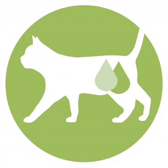 PURINA ONE Dualnature Natural Defense Adult Cat Dry Food with Salmon and Natural Spirulina, 8 Bags of 400 g PURINA ONE Dualnature Natural Defense Adult Cat Dry Food with Salmon and Natural Spirulina, 8 Bags of 400 g