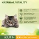 Perfect Fit Natural Vitality Adult 1+ - Dry Food for Adult Cats from 1 Year - Chicken & Turkey - Supports Vitality - 6 kg Perfect Fit Natural Vitality Adult 1+ - Dry Food for Adult Cats from 1 Year - Chicken & Turkey - Supports Vitality - 6 kg