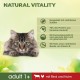 Perfect Fit Natural Vitality Adult 1+ - Dry Food for Adult Cats from 1 Year - Chicken & Turkey - Supports Vitality - 6 kg Perfect Fit Natural Vitality Adult 1+ - Dry Food for Adult Cats from 1 Year - Chicken & Turkey - Supports Vitality - 6 kg