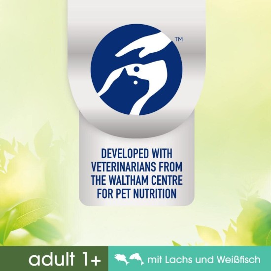 Perfect Fit Natural Vitality Adult 1+ - Dry Food for Adult Cats from 1 Year - Chicken & Turkey - Supports Vitality - 6 kg Perfect Fit Natural Vitality Adult 1+ - Dry Food for Adult Cats from 1 Year - Chicken & Turkey - Supports Vitality - 6 kg