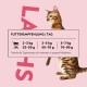 PrimaCat - Grain Free Dry Adult Cat Food Salmon 400g PrimaCat - Grain Free Dry Adult Cat Food Salmon 400g