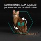 Pro Plan Cat AdultChicken 1.5kg Pro Plan Cat AdultChicken 1.5kg