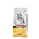 Professional Pellets Dry Cat Food (STERILIZED, 100% Made in Italy, Main Ingredient: Chicken and Veal, Cat Dry Food, Cat Treats, Serving Size: 1.5 kg) Professional Pellets Dry Cat Food (STERILIZED, 100% Made in Italy, Main Ingredient: Chicken and Veal, Cat Dry Food, Cat Treats, Serving Size: 1.5 kg)