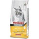 Professional Pellets Dry Cat Food (STERILIZED, 100% Made in Italy, Main Ingredient: Chicken and Veal, Cat Dry Food, Cat Treats, Serving Size: 1.5 kg) Professional Pellets Dry Cat Food (STERILIZED, 100% Made in Italy, Main Ingredient: Chicken and Veal, Cat Dry Food, Cat Treats, Serving Size: 1.5 kg)