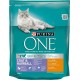 Purina ONE BIFENSIS Coat and Hairball Cat Dry Food: Rich in Chicken, for Healthy Skin & Urinary Train, Beautiful Fur Reduces Bunion, Pack of 6 Purina ONE BIFENSIS Coat and Hairball Cat Dry Food: Rich in Chicken, for Healthy Skin & Urinary Train, Beautiful Fur Reduces Bunion, Pack of 6
