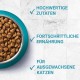 Purina ONE BIFENSIS Coat and Hairball Cat Dry Food: Rich in Chicken, for Healthy Skin & Urinary Train, Beautiful Fur Reduces Bunion, Pack of 6 Purina ONE BIFENSIS Coat and Hairball Cat Dry Food: Rich in Chicken, for Healthy Skin & Urinary Train, Beautiful Fur Reduces Bunion, Pack of 6