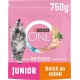 Purina ONE Purina ONE Nestlé PURINA ONE Bifensis Junior 1-12 Cat Food Kitten Dry Rich in Chicken, Pack of 6 (6 x 750 g) Purina ONE Purina ONE Nestlé PURINA ONE Bifensis Junior 1-12 Cat Food Kitten Dry Rich in Chicken, Pack of 6 (6 x 750 g)