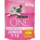 Purina ONE Purina ONE Nestlé PURINA ONE Bifensis Junior 1-12 Cat Food Kitten Dry Rich in Chicken, Pack of 6 (6 x 750 g) Purina ONE Purina ONE Nestlé PURINA ONE Bifensis Junior 1-12 Cat Food Kitten Dry Rich in Chicken, Pack of 6 (6 x 750 g)