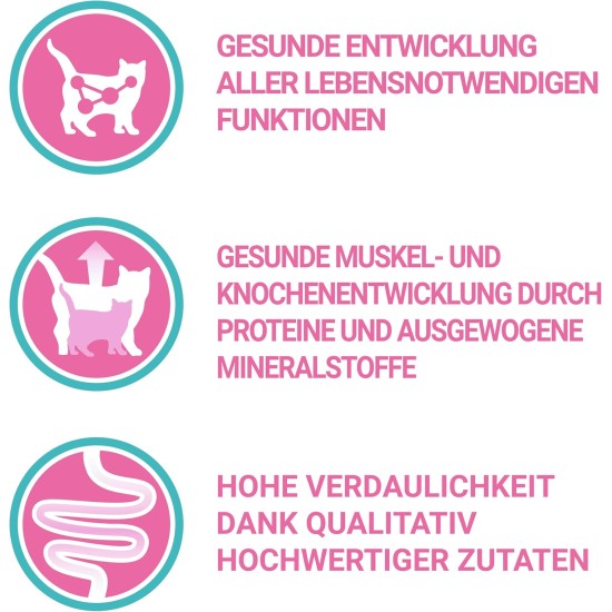Purina ONE Purina ONE Nestlé PURINA ONE Bifensis Junior 1-12 Cat Food Kitten Dry Rich in Chicken, Pack of 6 (6 x 750 g) Purina ONE Purina ONE Nestlé PURINA ONE Bifensis Junior 1-12 Cat Food Kitten Dry Rich in Chicken, Pack of 6 (6 x 750 g)