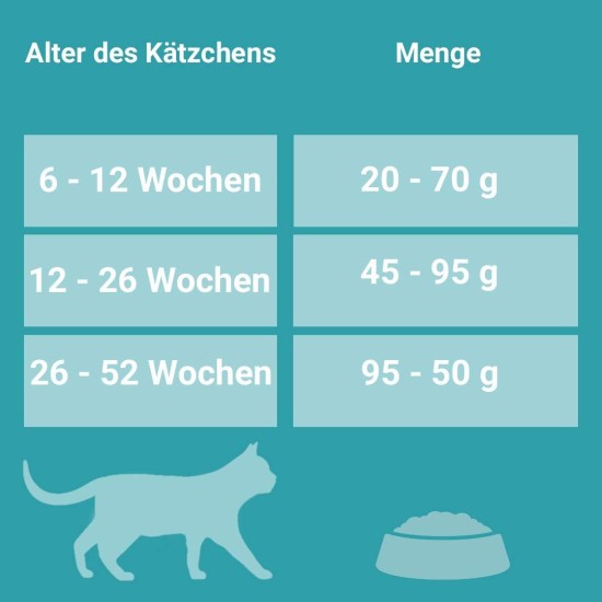 Purina ONE Purina ONE Nestlé PURINA ONE Bifensis Junior 1-12 Cat Food Kitten Dry Rich in Chicken, Pack of 6 (6 x 750 g) Purina ONE Purina ONE Nestlé PURINA ONE Bifensis Junior 1-12 Cat Food Kitten Dry Rich in Chicken, Pack of 6 (6 x 750 g)