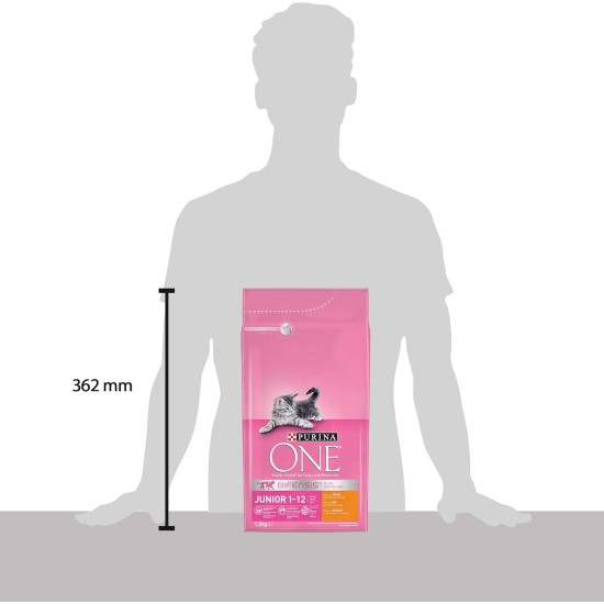 Purina ONE Purina ONE Nestlé PURINA ONE Bifensis Junior 1-12 Cat Food Kitten Dry Rich in Chicken, Pack of 6 (6 x 750 g) Purina ONE Purina ONE Nestlé PURINA ONE Bifensis Junior 1-12 Cat Food Kitten Dry Rich in Chicken, Pack of 6 (6 x 750 g)