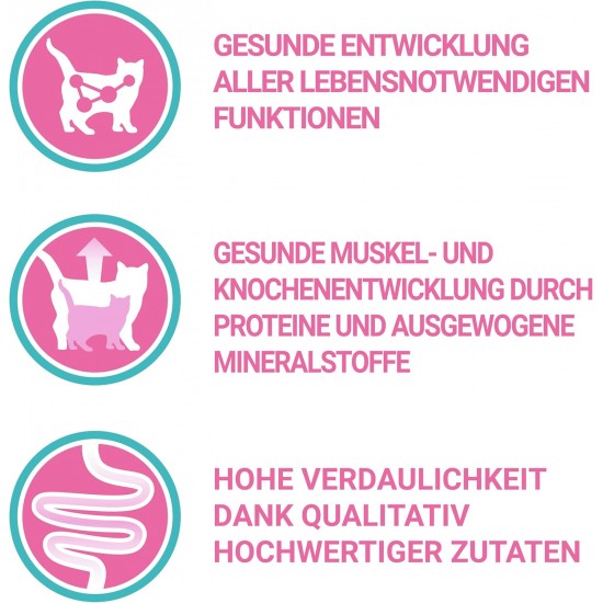 Purina ONE Purina ONE Nestlé PURINA ONE Bifensis Junior 1-12 Cat Food Kitten Dry Rich in Chicken, Pack of 6 (6 x 750 g) Purina ONE Purina ONE Nestlé PURINA ONE Bifensis Junior 1-12 Cat Food Kitten Dry Rich in Chicken, Pack of 6 (6 x 750 g)