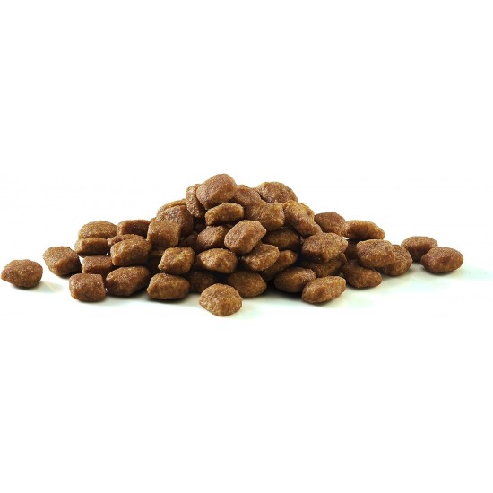 Purina One Bifensis Sensitive Dry Cat Food Purina One Bifensis Sensitive Dry Cat Food