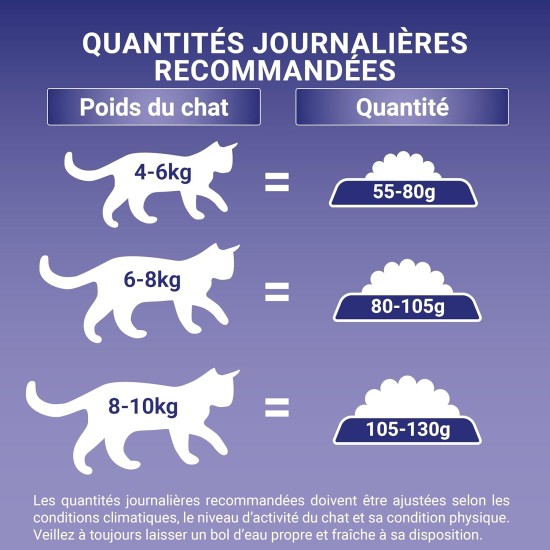Purina One: Sterilised Cat One Dry Food with Salmon, Tuna and Wheat: 1.5 kg, Pack of 6 (6 x 1.5 kg, Total 9 kg) Purina One: Sterilised Cat One Dry Food with Salmon, Tuna and Wheat: 1.5 kg, Pack of 6 (6 x 1.5 kg, Total 9 kg)