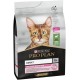 Purina Pro Plan Adult 1+ Delicate Digestion Rich in Lamb Dry Food Cat 3 kg Bag Purina Pro Plan Adult 1+ Delicate Digestion Rich in Lamb Dry Food Cat 3 kg Bag
