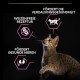 Purina Pro Plan Cat Food Delicate with Optirenal Rich in Turkey - 10 kg Purina Pro Plan Cat Food Delicate with Optirenal Rich in Turkey - 10 kg