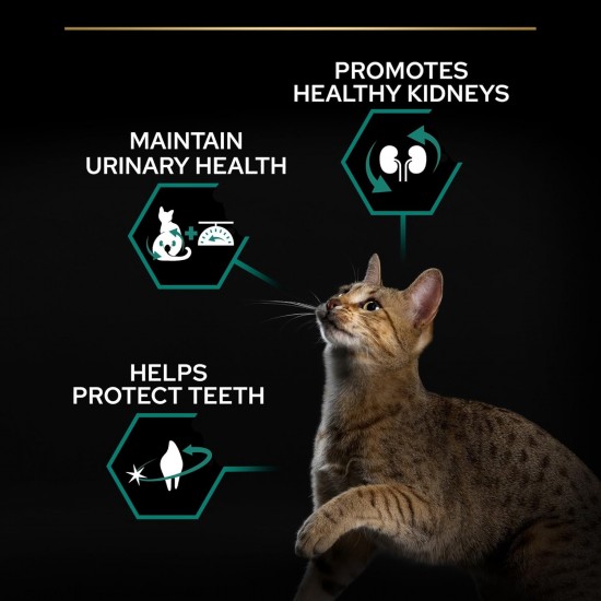 Purina Pro Plan Salmon Dry Food for Sterilised Cats 10 kg Purina Pro Plan Salmon Dry Food for Sterilised Cats 10 kg