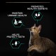Purina Pro Plan Salmon Dry Food for Sterilised Cats 10 kg Purina Pro Plan Salmon Dry Food for Sterilised Cats 10 kg