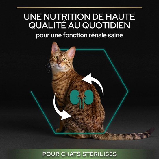 Purina Pro Plan Salmon Dry Food for Sterilised Cats 10 kg Purina Pro Plan Salmon Dry Food for Sterilised Cats 10 kg