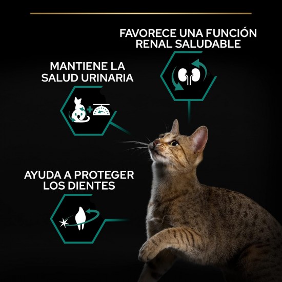 Purina Pro Plan Salmon Dry Food for Sterilised Cats 10 kg Purina Pro Plan Salmon Dry Food for Sterilised Cats 10 kg