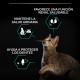 Purina Pro Plan Salmon Dry Food for Sterilised Cats 10 kg Purina Pro Plan Salmon Dry Food for Sterilised Cats 10 kg