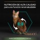 Purina Pro Plan Salmon Dry Food for Sterilised Cats 10 kg Purina Pro Plan Salmon Dry Food for Sterilised Cats 10 kg