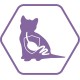 Purina Pro Plan Sterilised Kitten <1 Healthy Start Rich in Salmon Dry Food Kitten 1.5 kg Bag Purina Pro Plan Sterilised Kitten <1 Healthy Start Rich in Salmon Dry Food Kitten 1.5 kg Bag