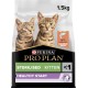 Purina Pro Plan Sterilised Kitten <1 Healthy Start Rich in Salmon Dry Food Kitten 1.5 kg Bag Purina Pro Plan Sterilised Kitten <1 Healthy Start Rich in Salmon Dry Food Kitten 1.5 kg Bag