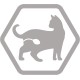 Purina Pro Plan Sterilised Kitten <1 Healthy Start Rich in Salmon Dry Food Kitten 1.5 kg Bag Purina Pro Plan Sterilised Kitten <1 Healthy Start Rich in Salmon Dry Food Kitten 1.5 kg Bag
