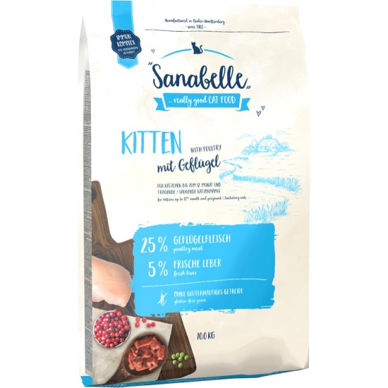 Sanabelle Kitten Sanabelle Kitten