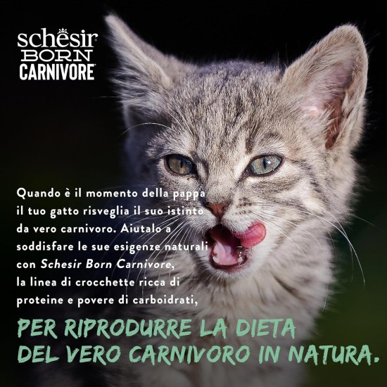 Schesir Born Carnivore Baked Chicken & Herring Adult Cat Dry Food 255g Bag Schesir Born Carnivore Baked Chicken & Herring Adult Cat Dry Food 255g Bag