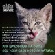 Schesir Born Carnivore Baked Chicken & Herring Adult Cat Dry Food 255g Bag Schesir Born Carnivore Baked Chicken & Herring Adult Cat Dry Food 255g Bag