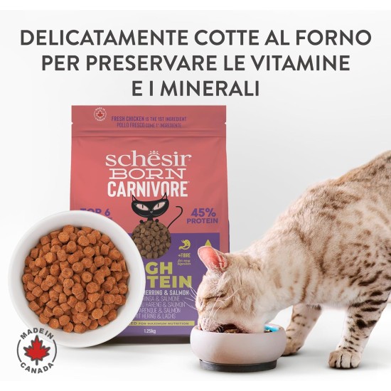 Schesir Born Carnivore Baked Chicken & Herring Adult Cat Dry Food 255g Bag Schesir Born Carnivore Baked Chicken & Herring Adult Cat Dry Food 255g Bag