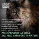 Schesir Born Carnivore Baked Chicken and Egg Adult Cat Dry Food (1.25 kg Bag) Schesir Born Carnivore Baked Chicken and Egg Adult Cat Dry Food (1.25 kg Bag)