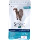 Schesir Cat Adult Maintenance Hairball with Chicken, Dry Cat Food for Adults Cats, Dry Food in Bag, Pack of 1 (1 x 400 g)