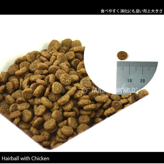 Schesir Cat Adult Maintenance Hairball with Chicken, Dry Cat Food for Adults Cats, Dry Food in Bag, Pack of 1 (1 x 400 g) Schesir Cat Adult Maintenance Hairball with Chicken, Dry Cat Food for Adults Cats, Dry Food in Bag, Pack of 1 (1 x 400 g)