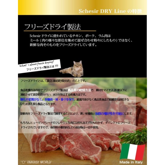Schesir Cat Adult Maintenance Hairball with Chicken, Dry Cat Food for Adults Cats, Dry Food in Bag, Pack of 1 (1 x 400 g) Schesir Cat Adult Maintenance Hairball with Chicken, Dry Cat Food for Adults Cats, Dry Food in Bag, Pack of 1 (1 x 400 g)