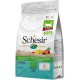 Schesir Cat Kitten, 1er Pack (1 x 1.55 kg Schesir Cat Kitten, 1er Pack (1 x 1.55 kg