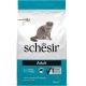 Schesir Cat Maintenance Lamb, 1er Pack (1 x 1.55 kg Schesir Cat Maintenance Lamb, 1er Pack (1 x 1.55 kg