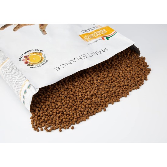 Schesir Cat Maintenance Lamb, 1er Pack (1 x 1.55 kg Schesir Cat Maintenance Lamb, 1er Pack (1 x 1.55 kg