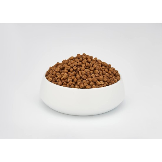 Schesir Cat Maintenance Lamb, 1er Pack (1 x 1.55 kg Schesir Cat Maintenance Lamb, 1er Pack (1 x 1.55 kg