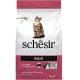 Schesir Cat Maintenance Lamb, 1er Pack (1 x 1.55 kg Schesir Cat Maintenance Lamb, 1er Pack (1 x 1.55 kg