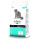 Schesir Cat Maintenance Lamb, 1er Pack (1 x 1.55 kg Schesir Cat Maintenance Lamb, 1er Pack (1 x 1.55 kg