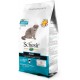 Schesir Cat Maintenance Lamb, 1er Pack (1 x 1.55 kg Schesir Cat Maintenance Lamb, 1er Pack (1 x 1.55 kg